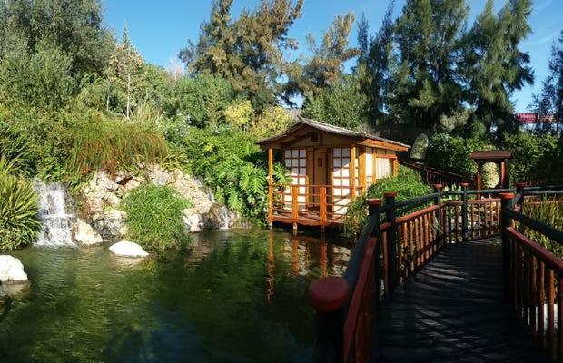 Apartamento El Remo Torremolinos Dış mekan fotoğraf
